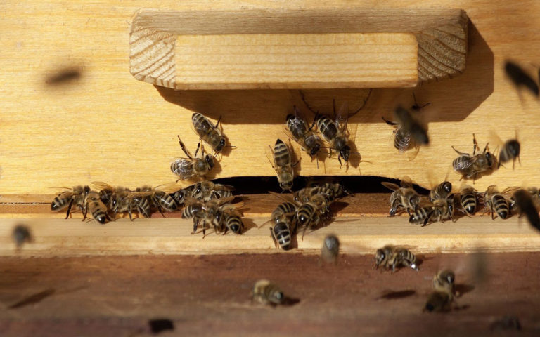 Гигиена и обеззараживание